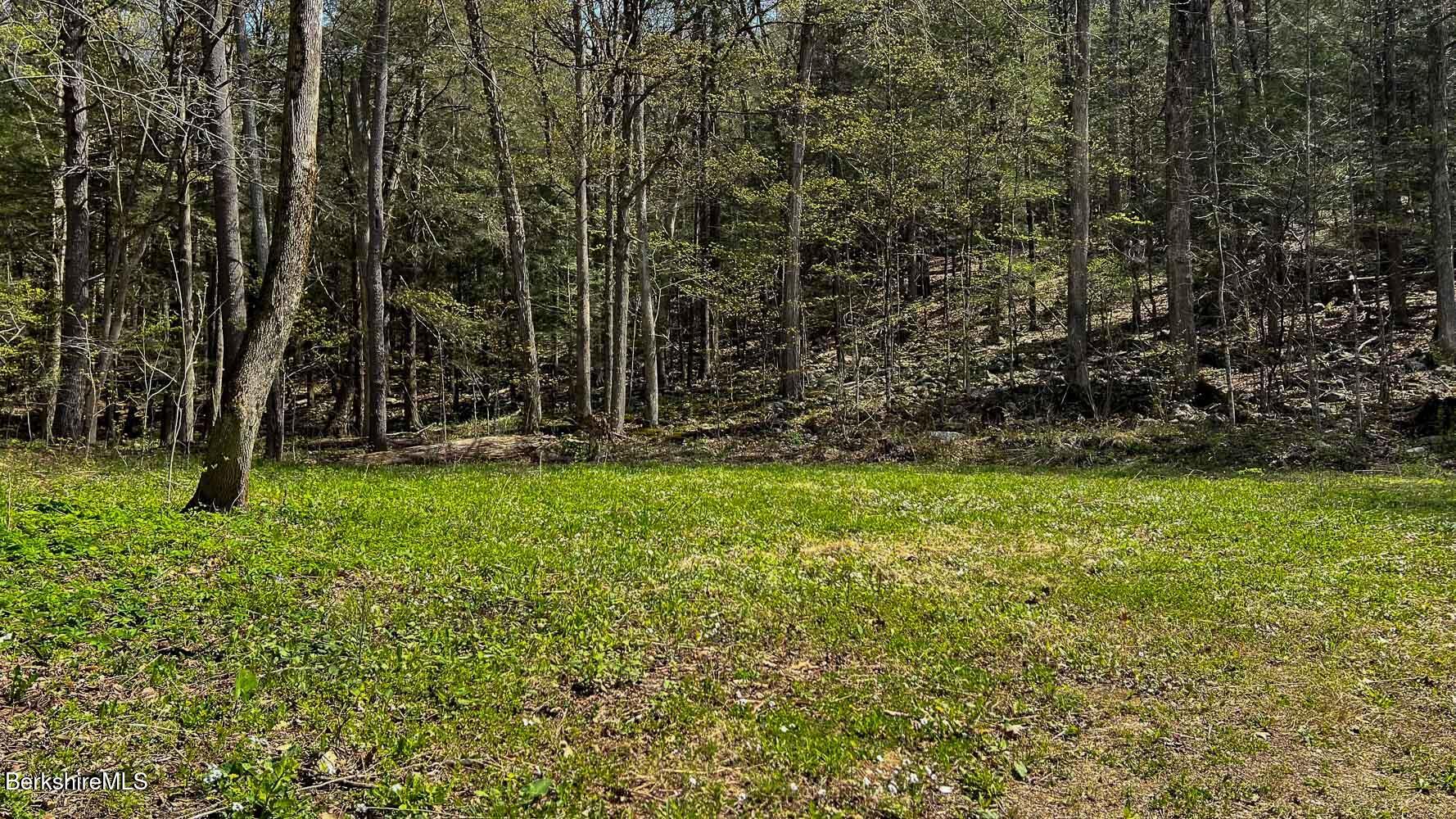 0 River Road Monterey, MA 01245 - Photo 2 of 14 0 River Rd-6
