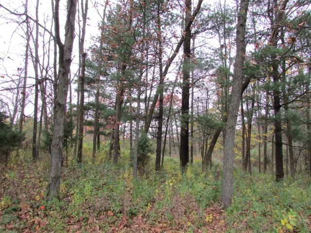 Lt2 Lt2 Marshall Heights Whitewater, WI 53190 - Photo 1 of 1 Lot 2 Marshall Heights