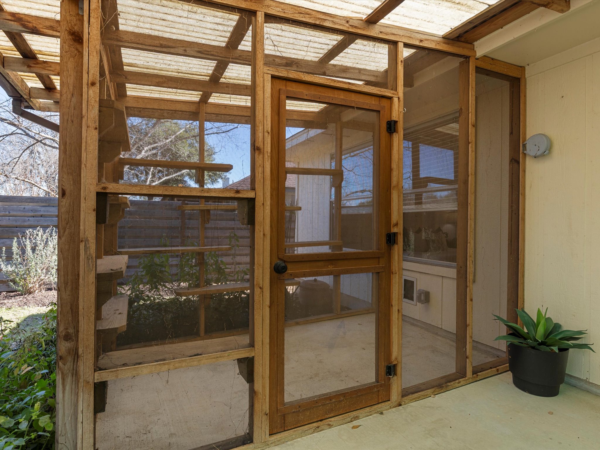 9322 Lightwood Loop Austin, TX 78748 - Photo 37 of 40 A cat's dream Catio is situated off the porch. Perfect for your cat, or use for gardening or mosquito free hanging out.
