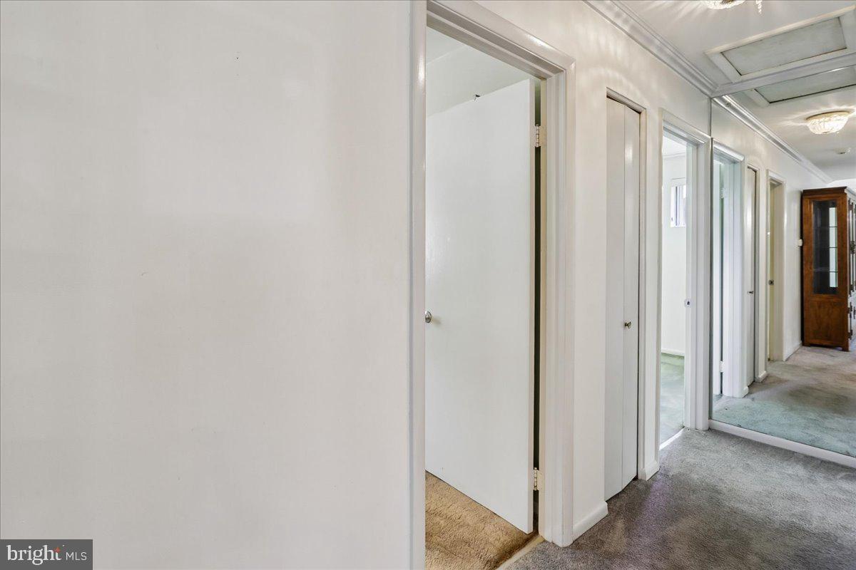 902 Malta Lane Silver Spring, MD 20901 - Photo 19 of 53 Hallway