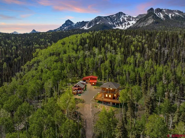 a view of a forest with a mountain