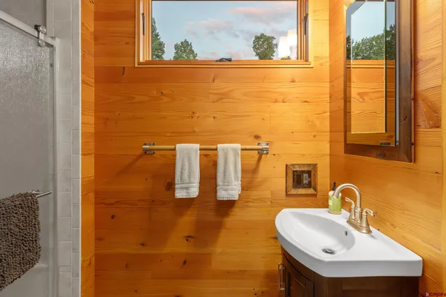 a bathroom with a sink a mirror and a shower