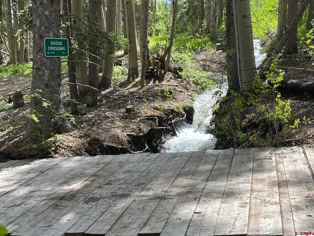 a view of a pathway with a yard