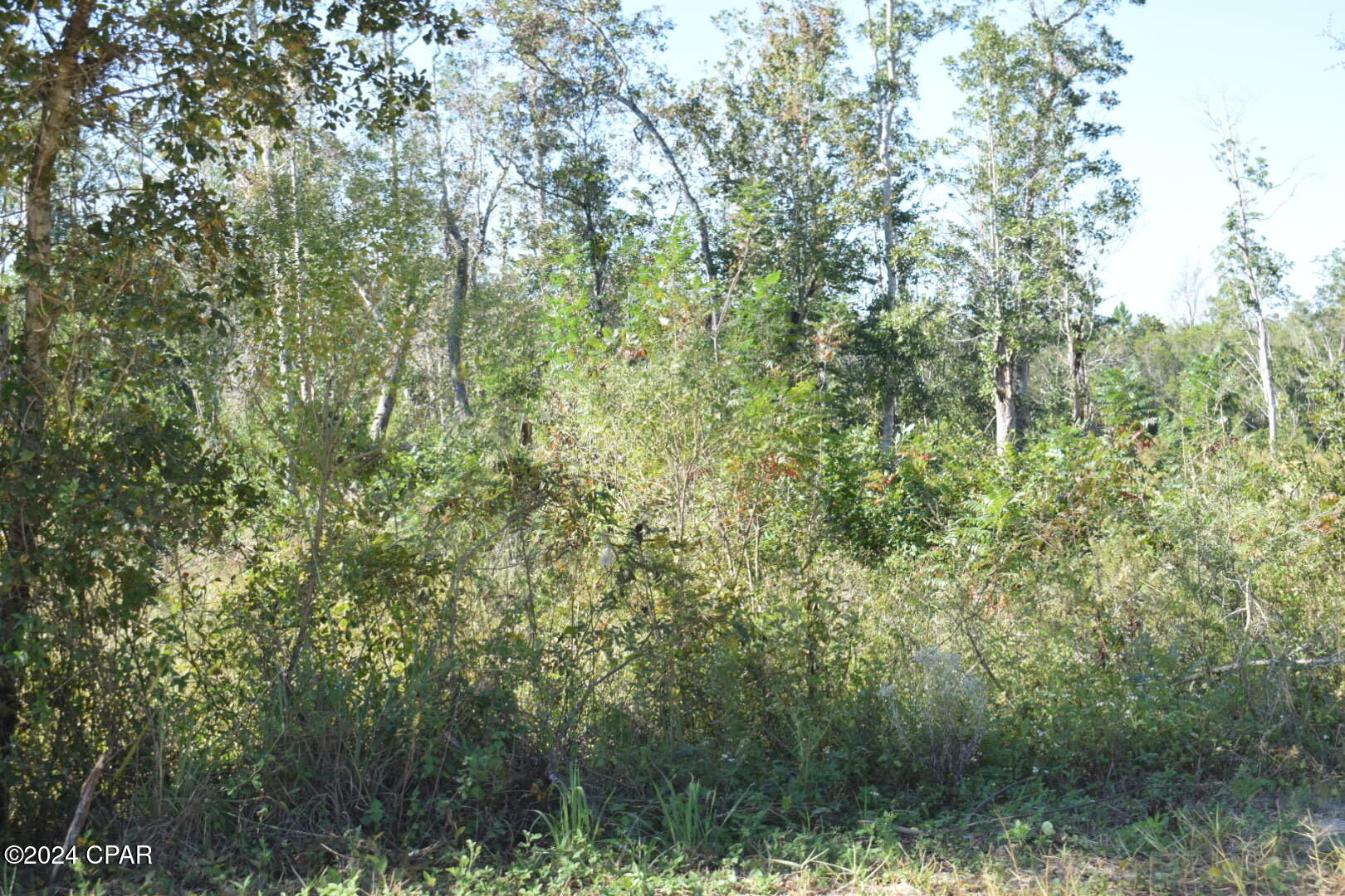 10450 River Alley Road Youngstown, FL 32466 - Photo 2 of 2