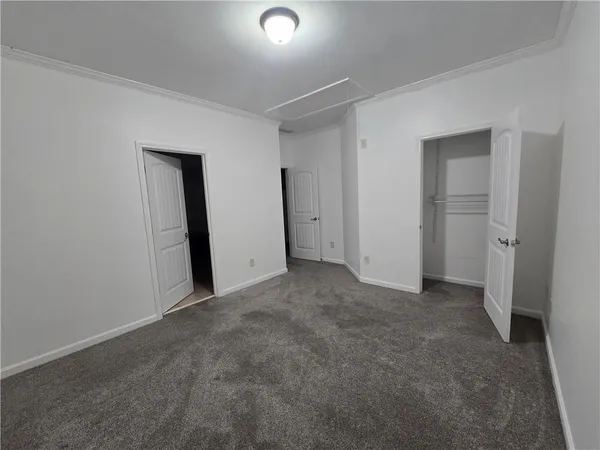 view of a green field with lots of bushes