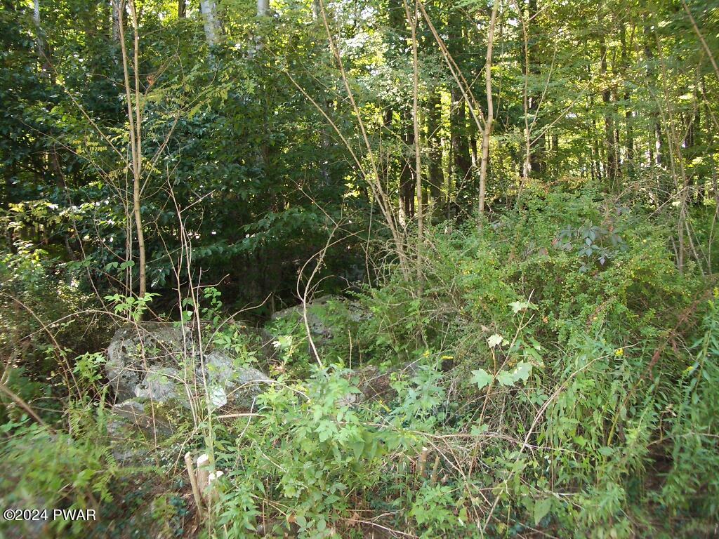 Lot 3 Gilpin Road Newfoundland, PA 18445 - Photo 2 of 5