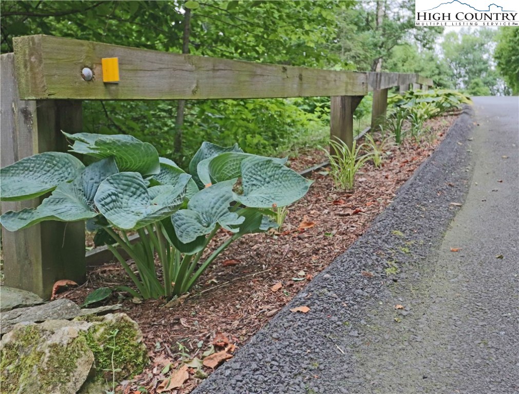 Nettles Ridge, Unit 45 Banner Elk, NC 28604 - Photo 6 of 12 a backyard of a house with lots of green space