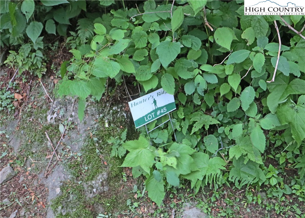 Nettles Ridge, Unit 45 Banner Elk, NC 28604 - Photo 7 of 12