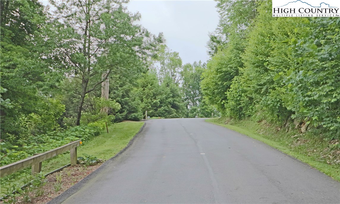 Nettles Ridge, Unit 45 Banner Elk, NC 28604 - Photo 10 of 12