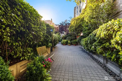 a view of a yard with plants and large trees