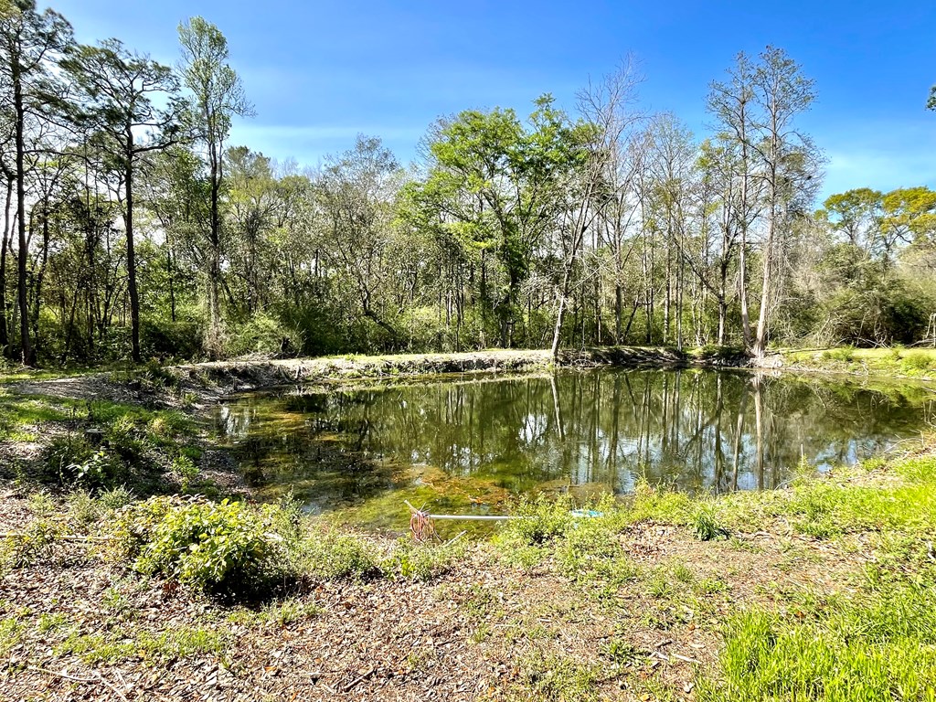 644 Bruner Road Dothan, AL 36301 - Photo 15 of 34 Natural Spring fed pond