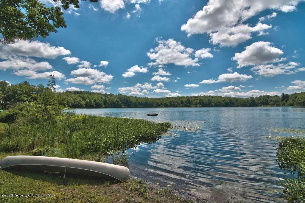 292 Loomis Lk Road Hop Bottom, PA 18824 - Photo 47 of 76 a view of a lake with a yard