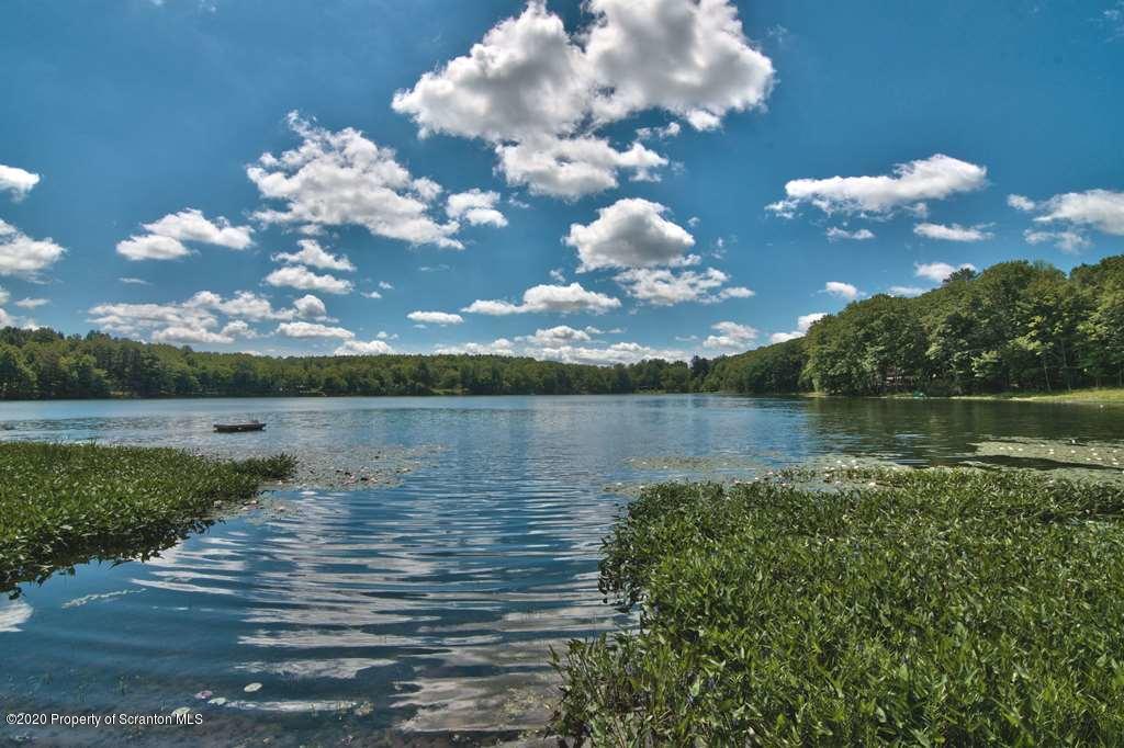 292 Loomis Lk Road Hop Bottom, PA 18824 - Photo 5 of 76 a view of a lake with a lake
