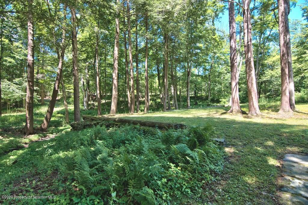 292 Loomis Lk Road Hop Bottom, PA 18824 - Photo 69 of 76