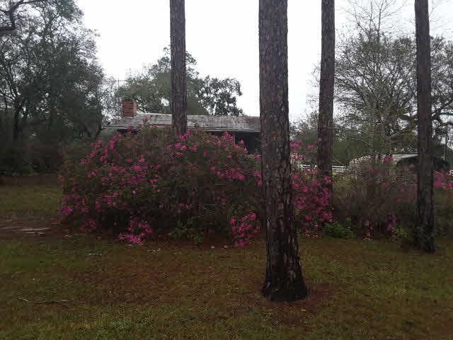 34311 Lost River Road Seminole, AL 36574 - Photo 10 of 19