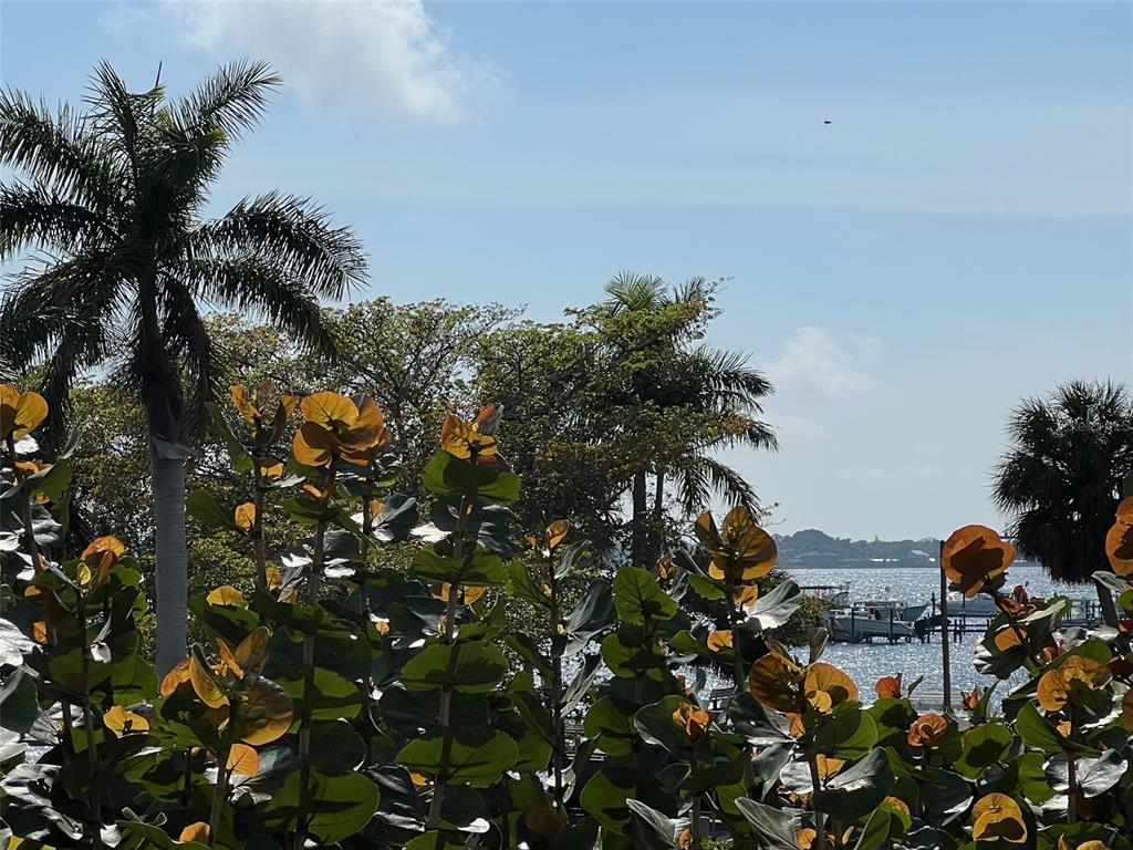 1000 Riverside Drive, Unit B104 Palmetto, FL 34221 - Photo 23 of 36 a view of a city