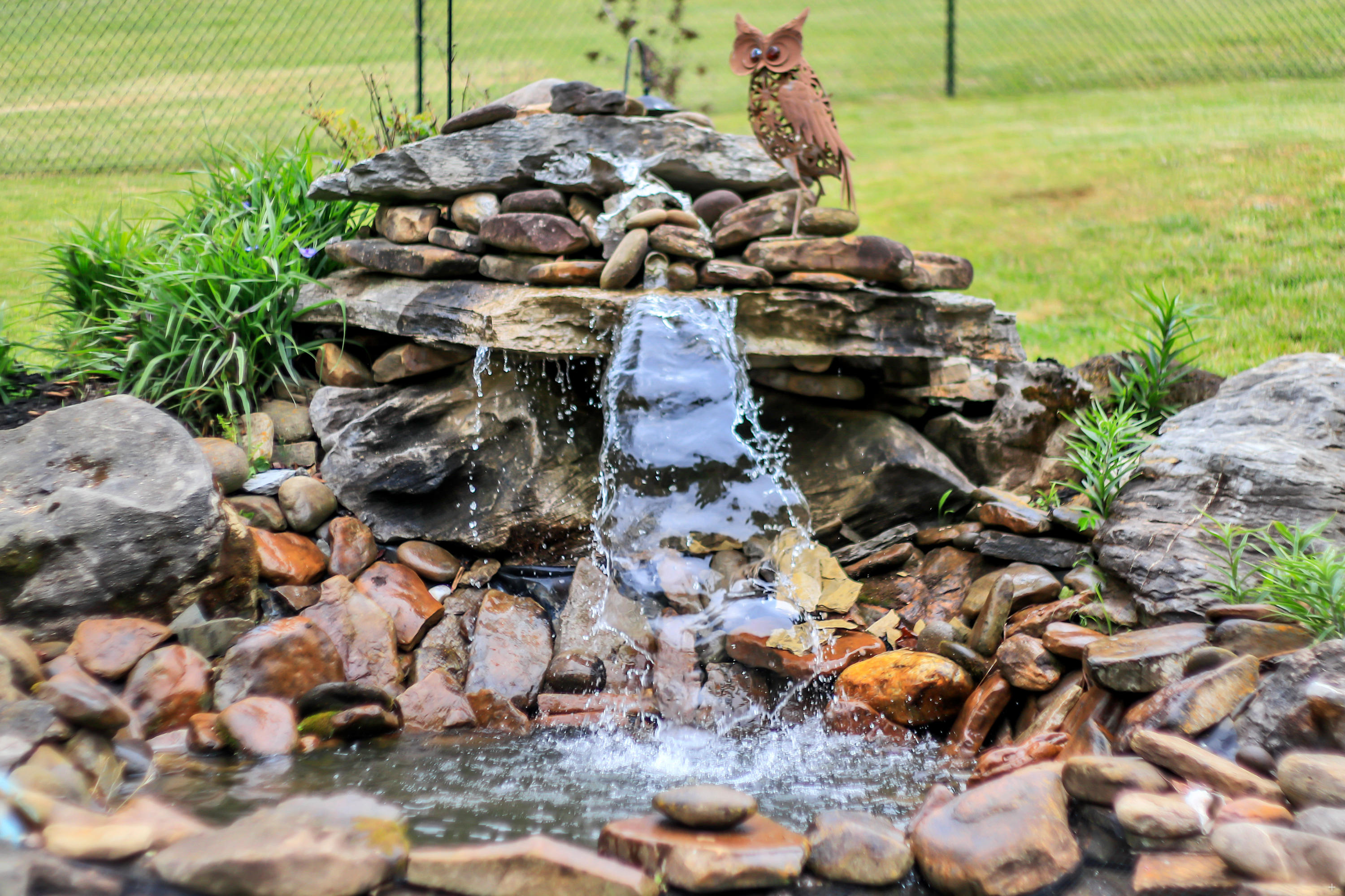 8237 Ewing Road Powell, TN 37849 - Photo 8 of 32 Positive Perceptions-40