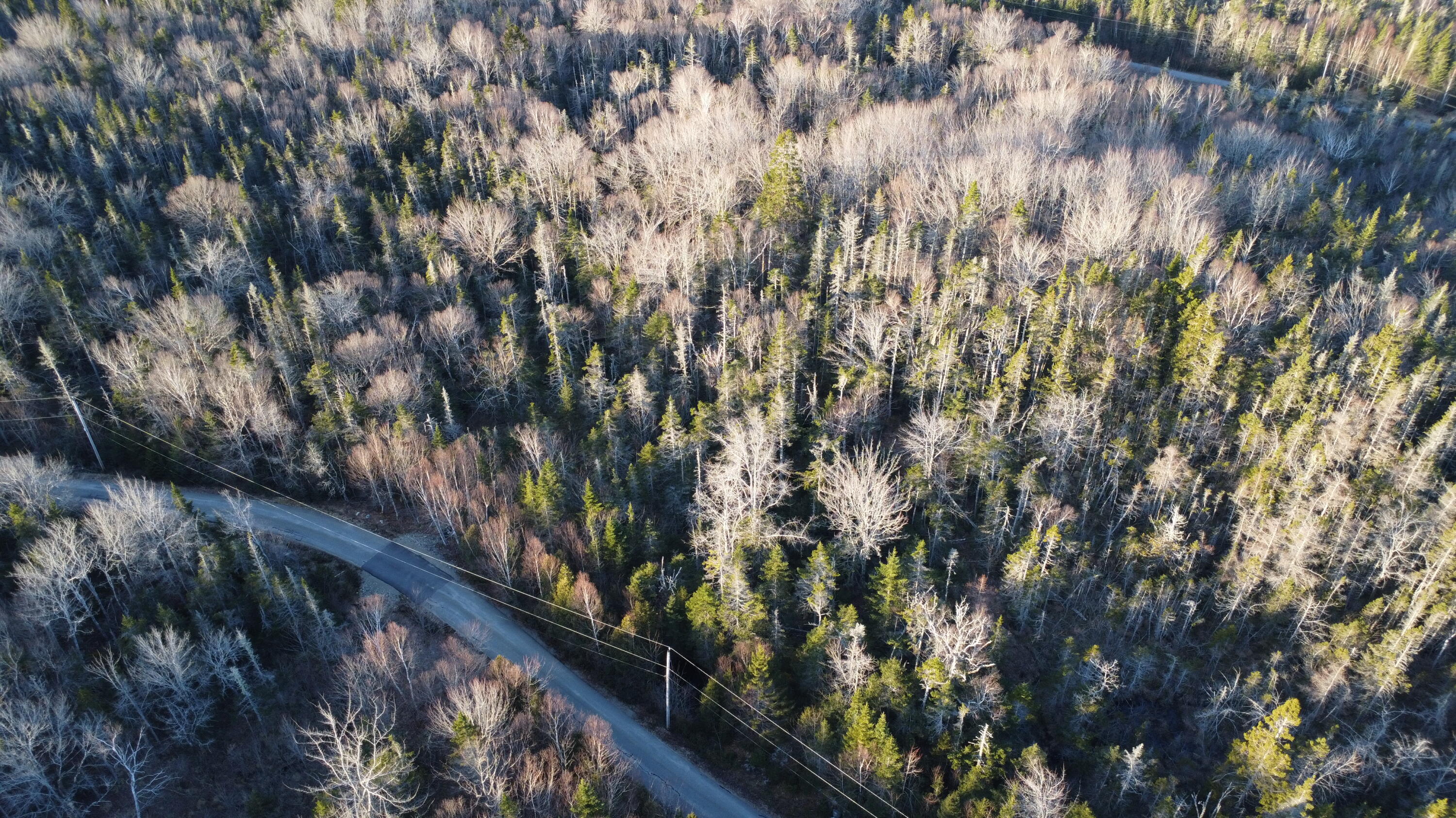 0 Collins Cove Road Machiasport, ME 04655 - Photo 4 of 5 DJI_0634