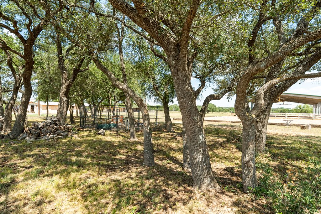 3550 County Road 245 Florence, TX 76527 - Photo 24 of 38 Beautiful Tree Cluster in immediate back yard space