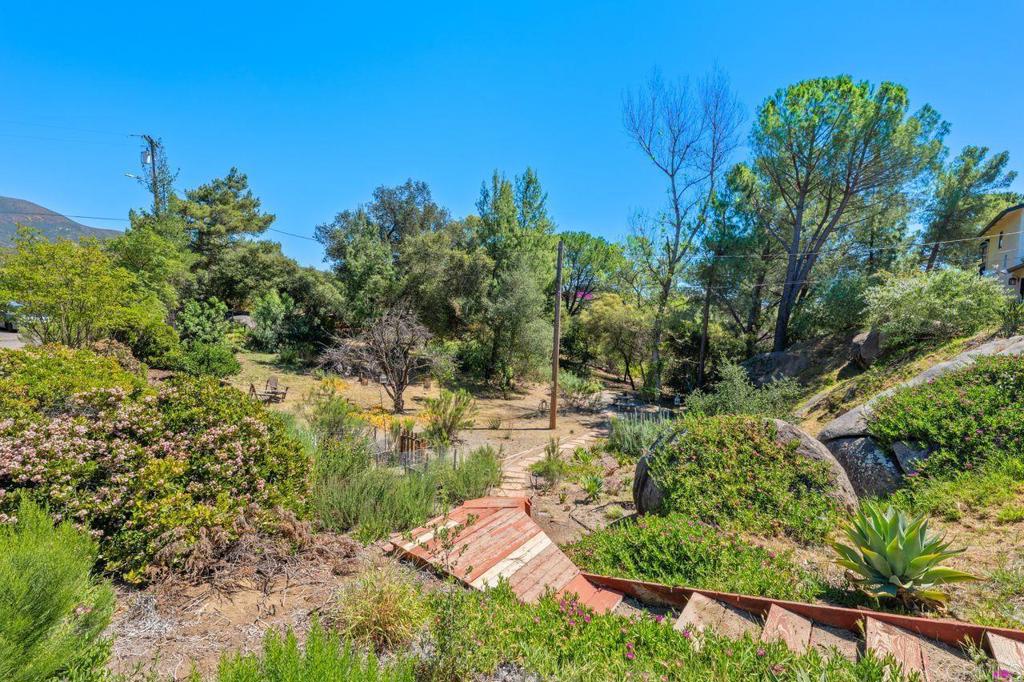 2869 Polk Road Alpine, CA 91901 - Photo 27 of 36 a view of a yard with plants and a tree