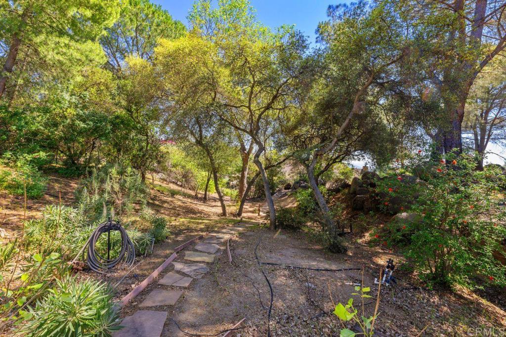 2869 Polk Road Alpine, CA 91901 - Photo 33 of 36 a backyard of a house with large trees
