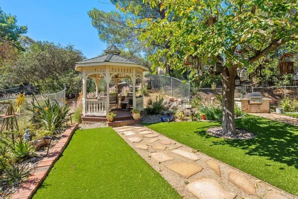 a view of a yard with plants and large trees
