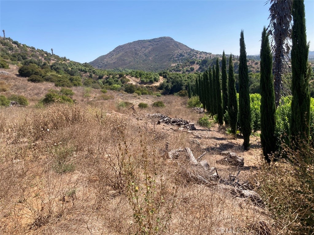 37 El Calamar Road Temecula, CA 92590 - Photo 6 of 6 a view of a town with mountains in the background