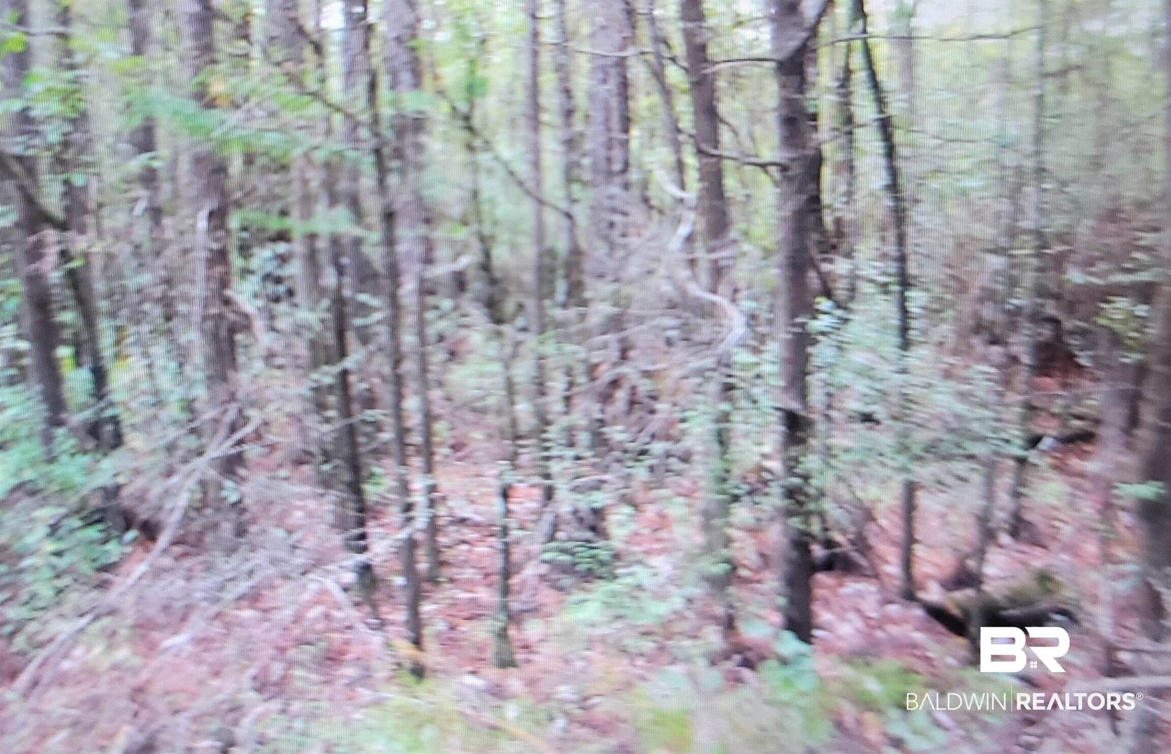 0 Juniper Road Seminole, AL 36574 - Photo 13 of 26