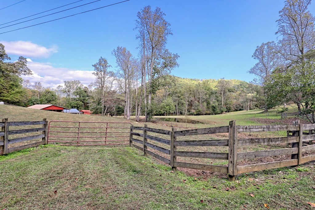 1306 Hot House Road Hayesville, NC 28904 - Photo 3 of 99