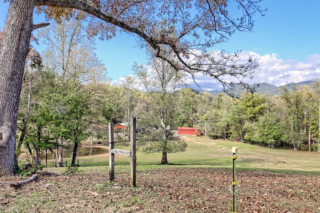 1306 Hot House Road Hayesville, NC 28904 - Photo 44 of 99