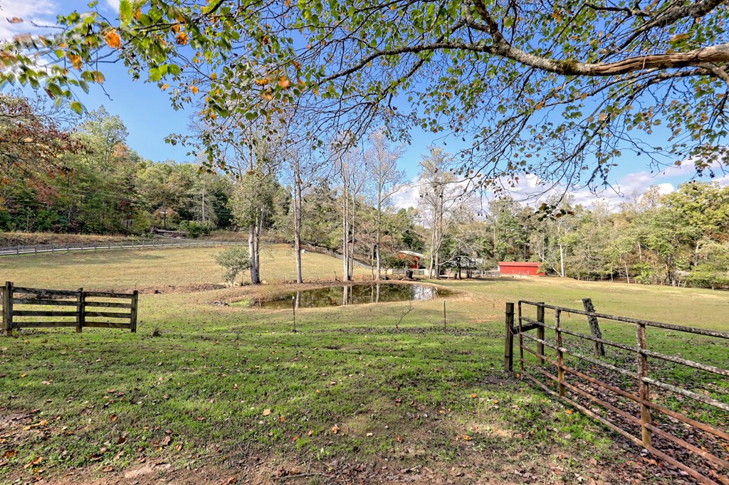 1306 Hot House Road Hayesville, NC 28904 - Photo 46 of 99