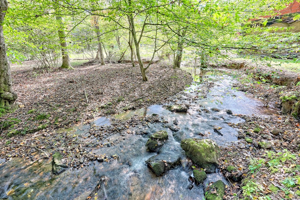 1306 Hot House Road Hayesville, NC 28904 - Photo 71 of 99