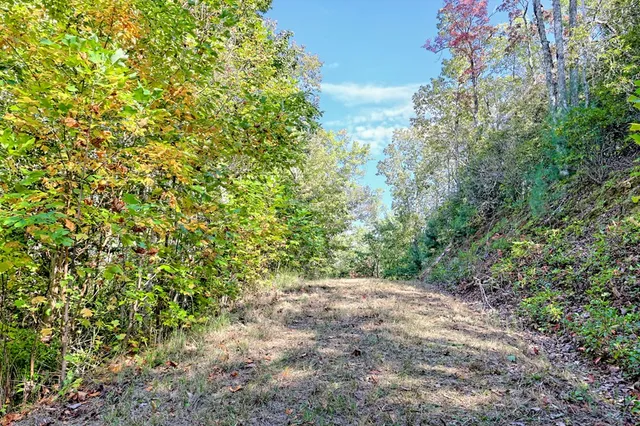 $1,599,500 | 1306 Hot House Road, Hayesville, NC 28904