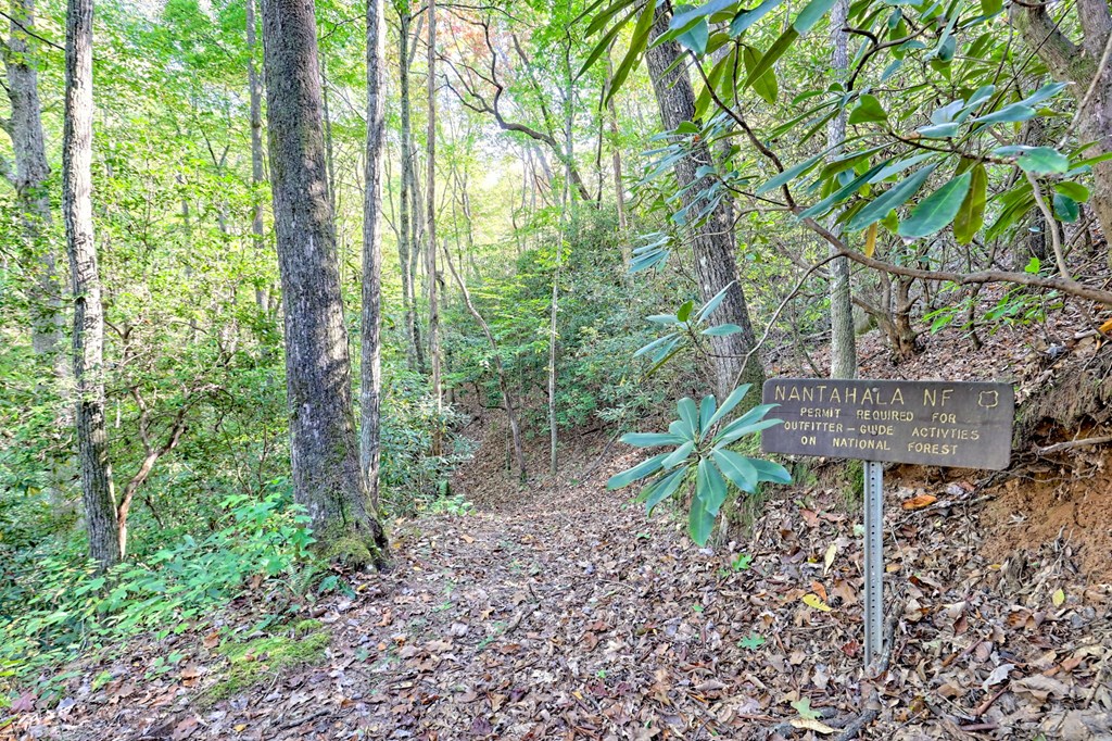 1306 Hot House Road Hayesville, NC 28904 - Photo 73 of 99