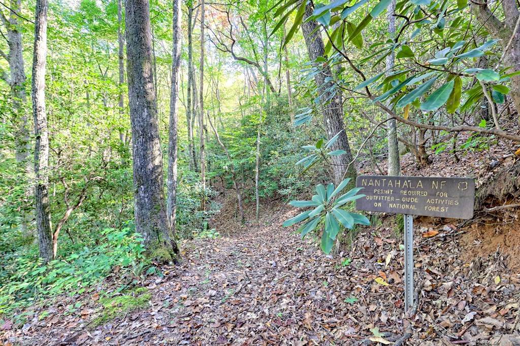 1306 Hot House Road Hayesville, NC 28904 - Photo 74 of 99