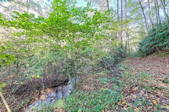 $1,599,500 | 1306 Hot House Road, Hayesville, NC 28904