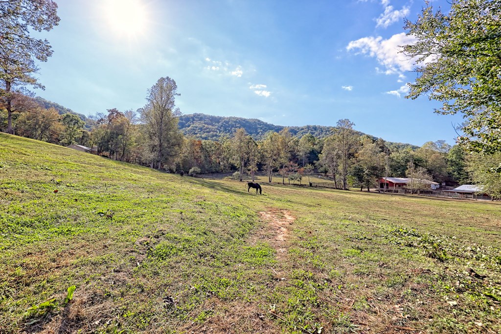 1306 Hot House Road Hayesville, NC 28904 - Photo 79 of 99