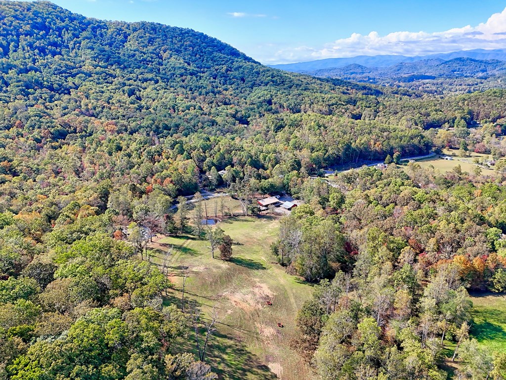 1306 Hot House Road Hayesville, NC 28904 - Photo 83 of 99