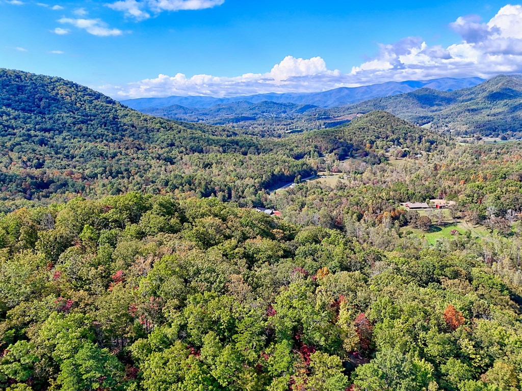 1306 Hot House Road Hayesville, NC 28904 - Photo 84 of 99