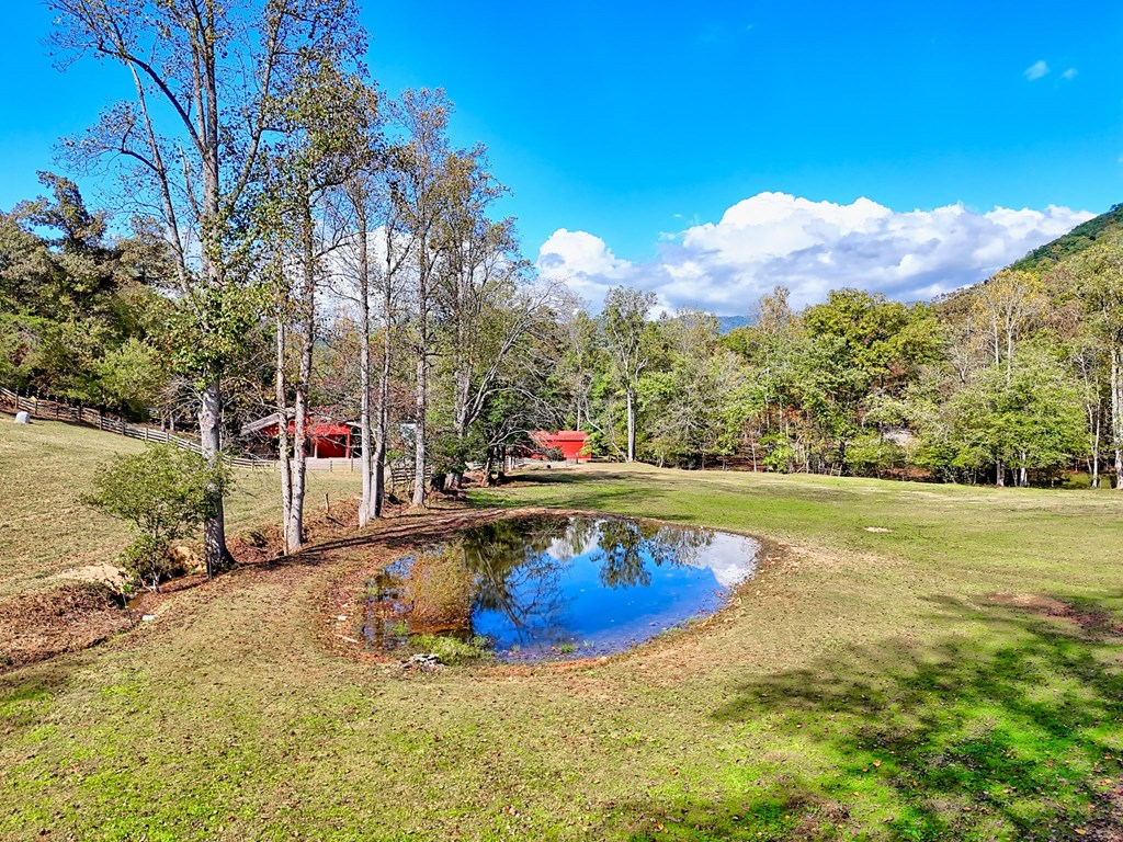 1306 Hot House Road Hayesville, NC 28904 - Photo 85 of 99