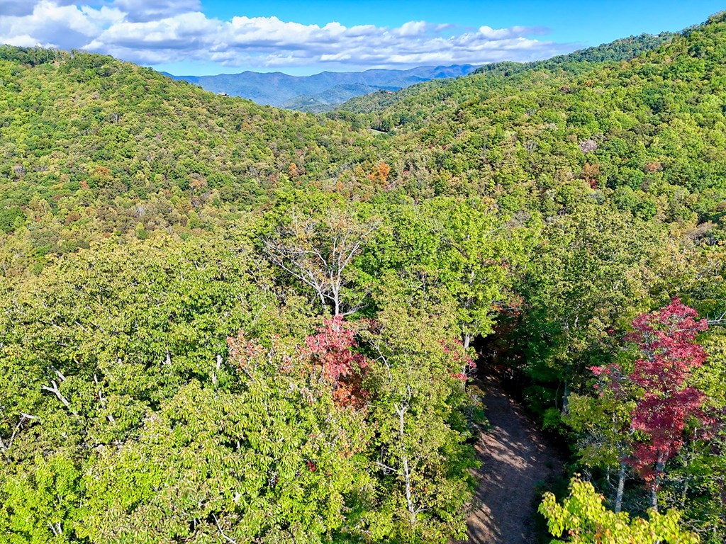 1306 Hot House Road Hayesville, NC 28904 - Photo 88 of 99