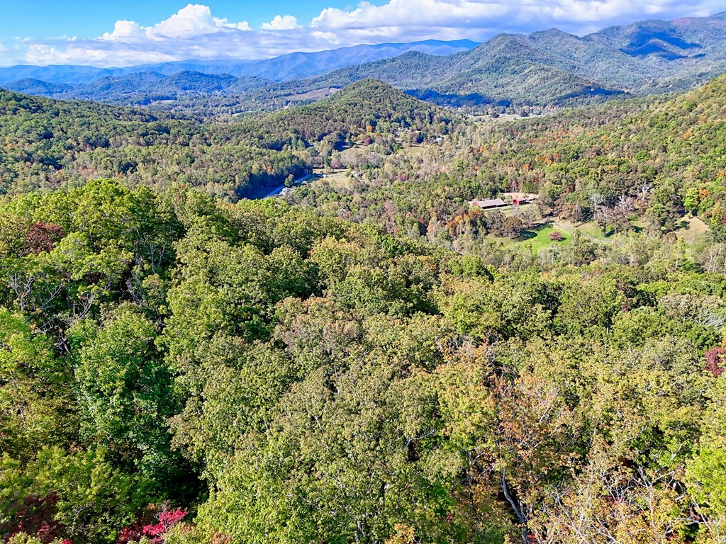 1306 Hot House Road Hayesville, NC 28904 - Photo 89 of 99