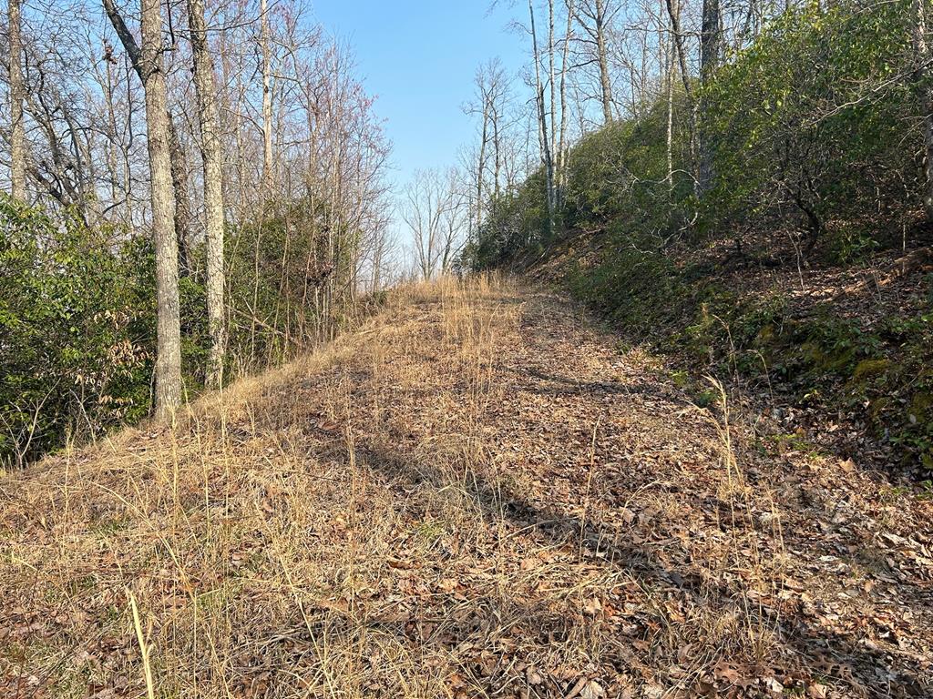 1306 Hot House Road Hayesville, NC 28904 - Photo 94 of 99