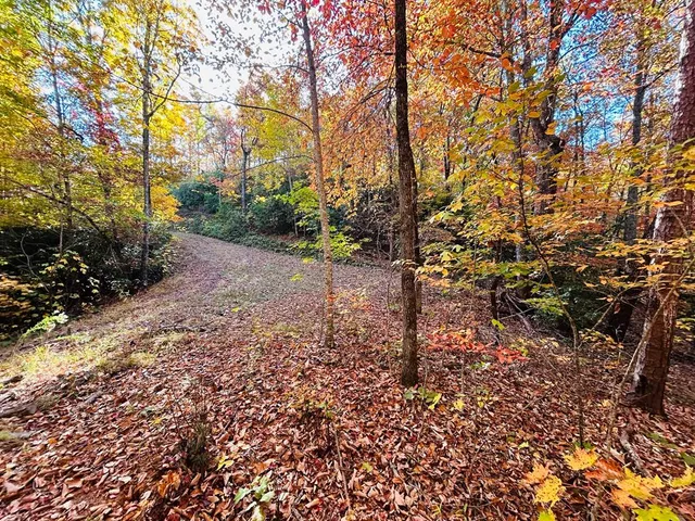 $1,599,500 | 1306 Hot House Road, Hayesville, NC 28904