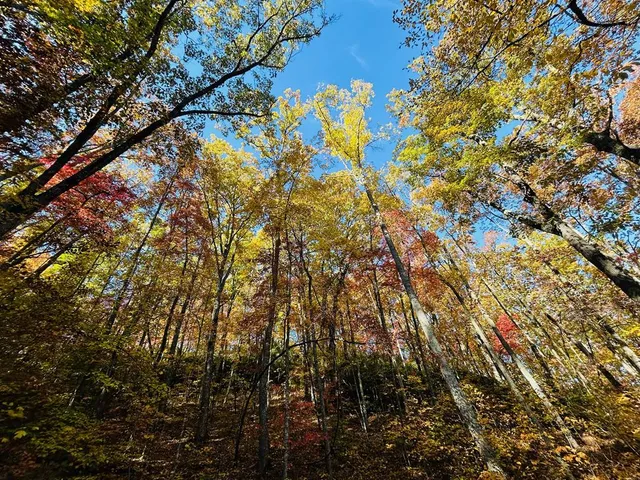 $1,599,500 | 1306 Hot House Road, Hayesville, NC 28904