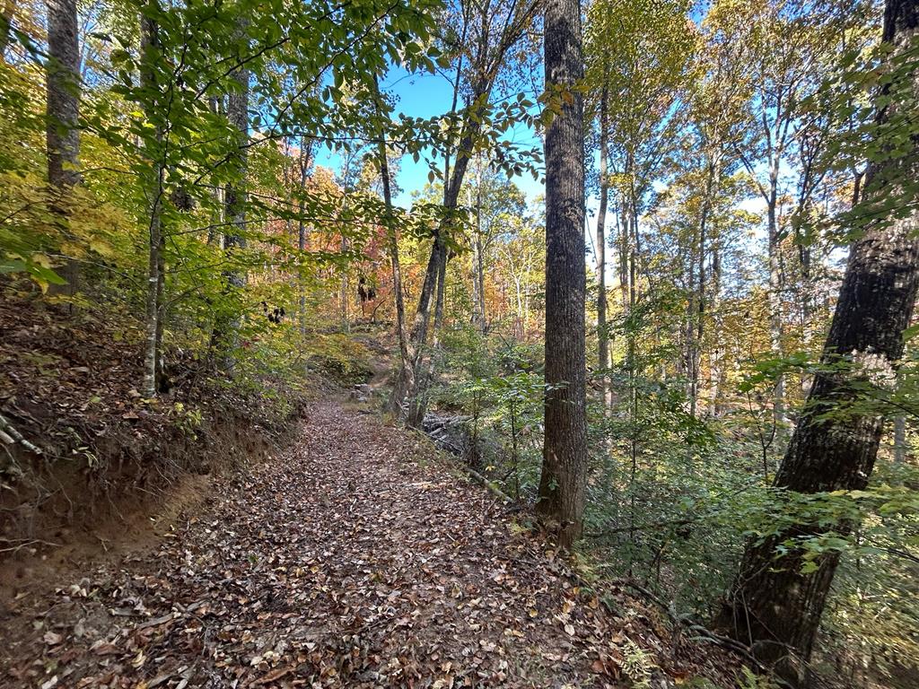 1306 Hot House Road Hayesville, NC 28904 - Photo 97 of 99