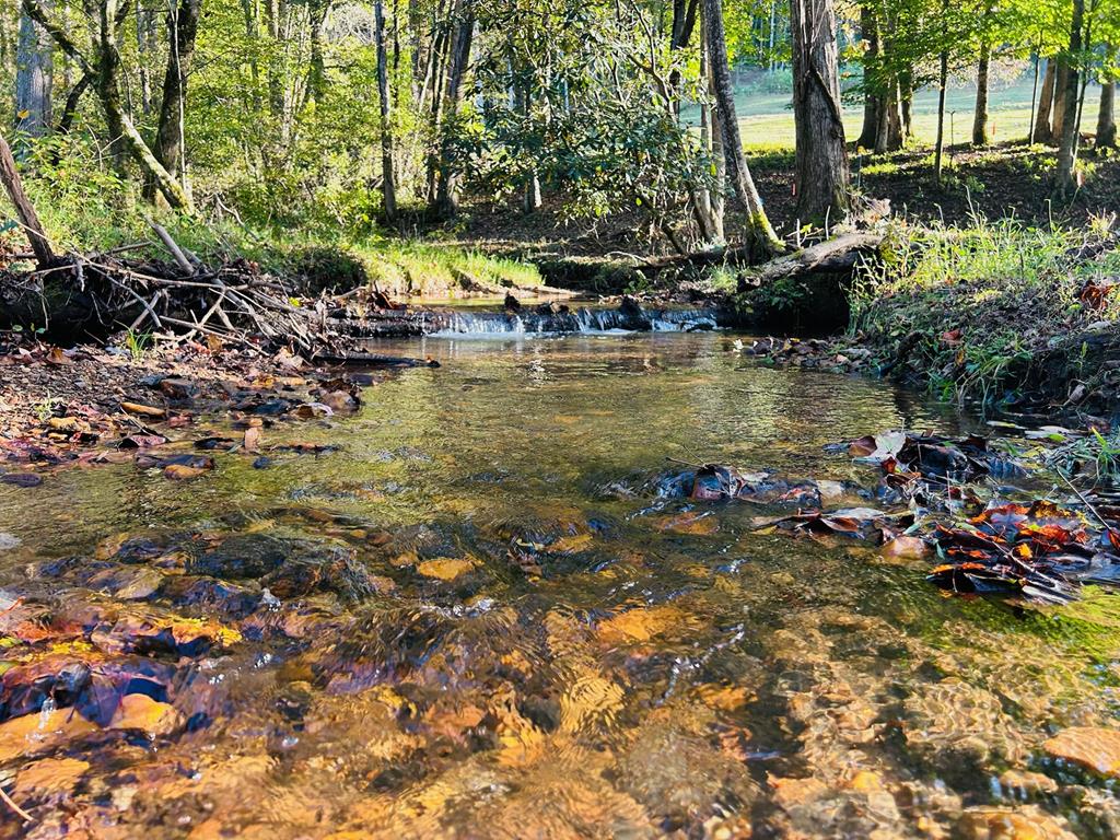 1306 Hot House Road Hayesville, NC 28904 - Photo 98 of 99