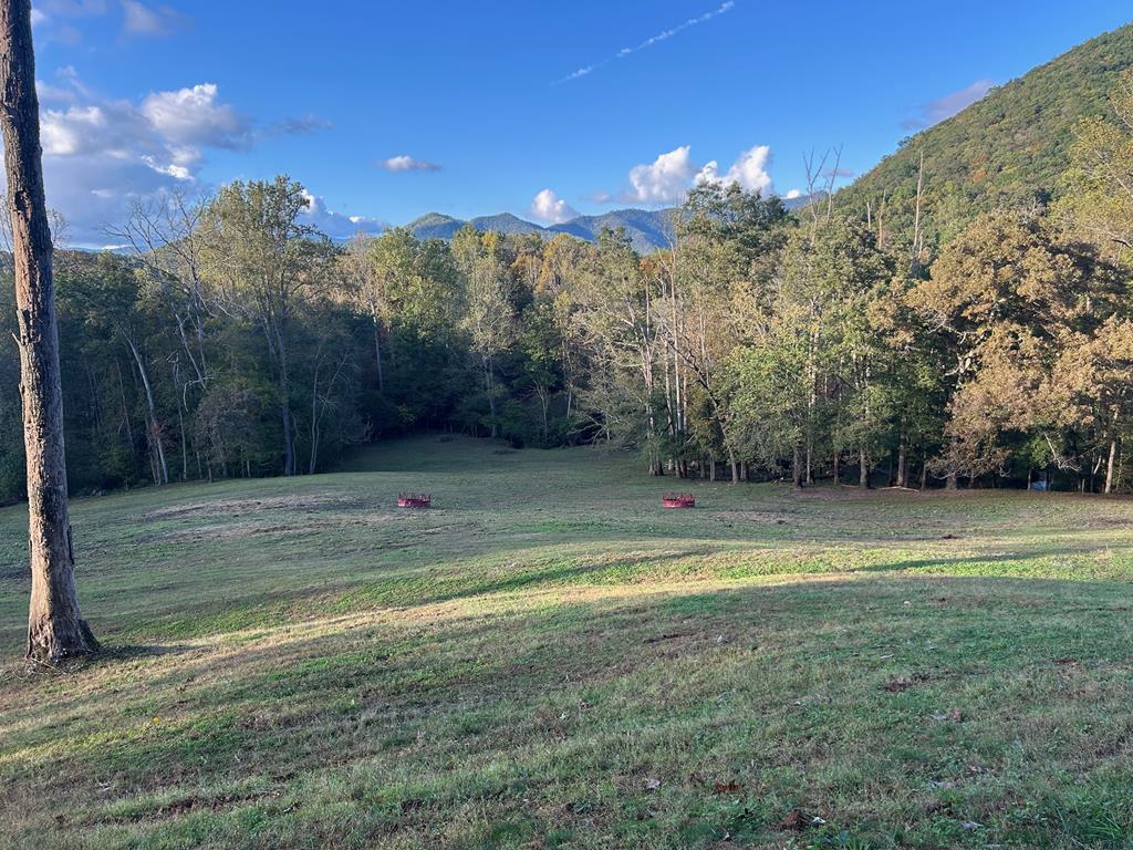 1306 Hot House Road Hayesville, NC 28904 - Photo 99 of 99