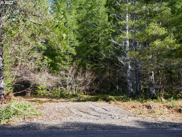 $50,000 | Lahar Lane, Unit 8, Cougar, WA 98616