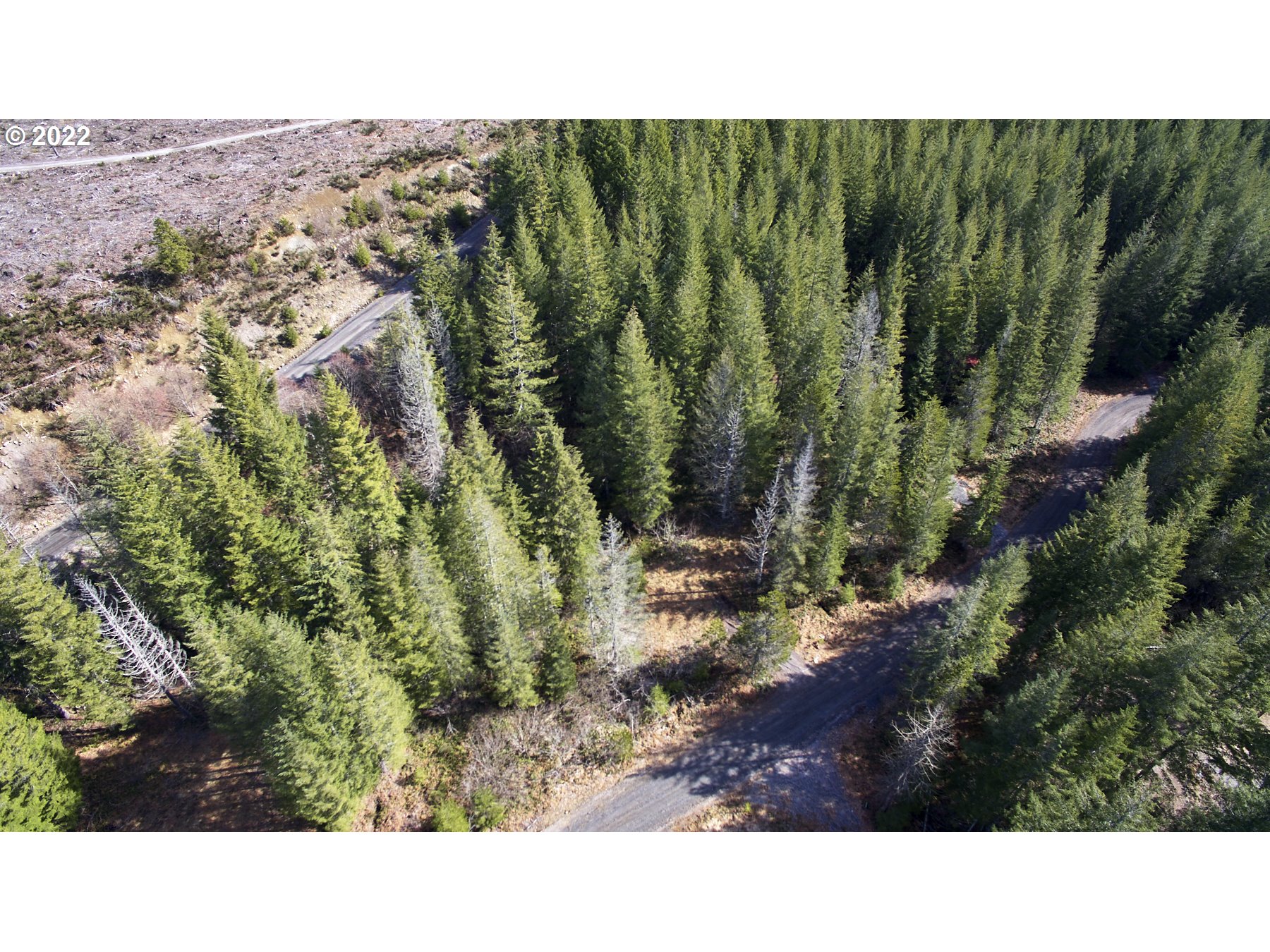 Lahar Lane, Unit 8 Cougar, WA 98616 - Photo 16 of 25 a view of a city